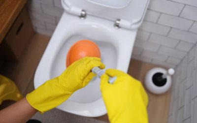 What to Do When Your Toilet doesn’t Unclog
