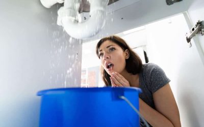 Plumbing Emergencies: How to Handle and Prevent Costly Disasters
